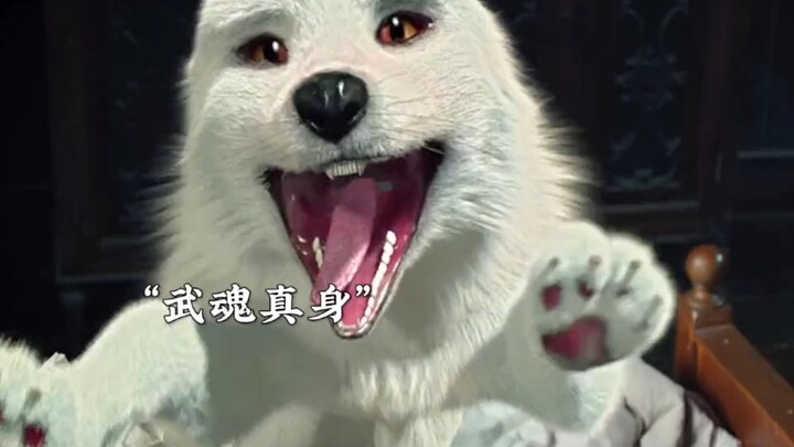 The fox spirit kindly went to a friend’s house to offer New Year greetings and give red envelopes, b