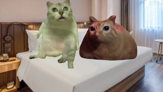 【Cat meme】About the couple next door quarreling for 2 hours in the early morning...