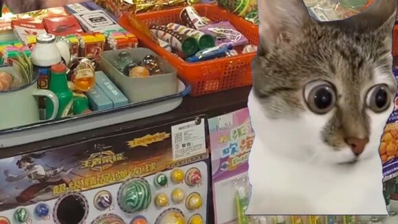 “ลูกชายผู้ใหญ่บ้าน”