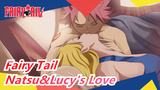 [Fairy Tail/MAD] See Natsu&Lucy's Love Stories
