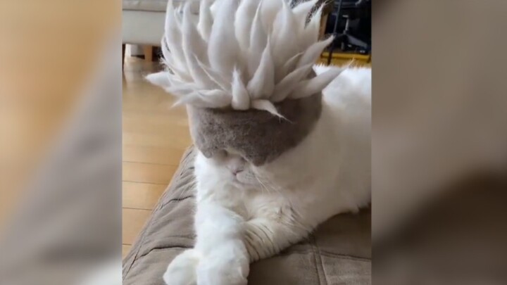 رائع رائع رائع رائع رائع رائع رائع رائع!