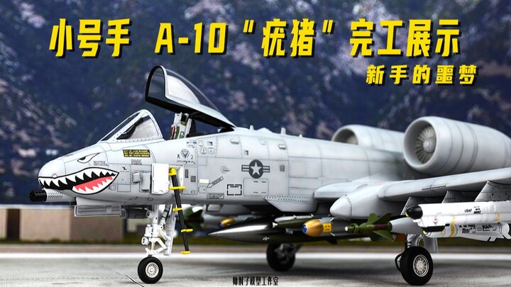 【舔地疣猪】小号手A-10模型完工展示