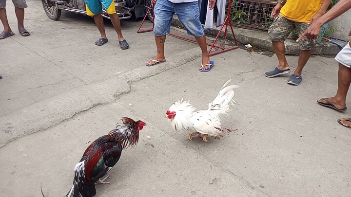 oLats nadali ng tagalog