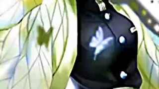 Butterfly Familly🦋