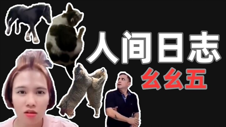 【บันทึกการสังเกตมนุษย์】115 2022 สวัสดีปีใหม่!