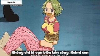 Top 6 Thánh Nhọ Trong One Piece #15- 3