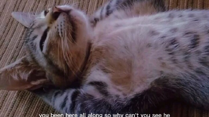 That'I'm the one understand