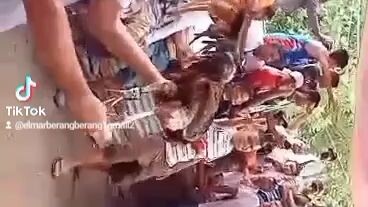 piesta at lantangan