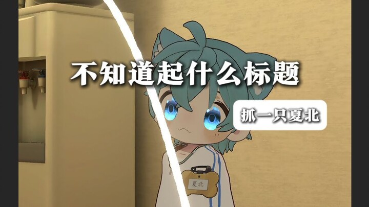 【抓一只夏北】不知道起什么名字的视频，拍着玩的