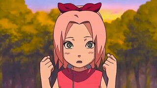 Sakura | twixtor Edit | Edit