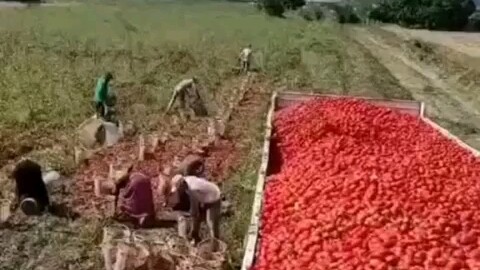 ฝีมือของพี่คนนี้ก็โคตรเทพเลยนะ!