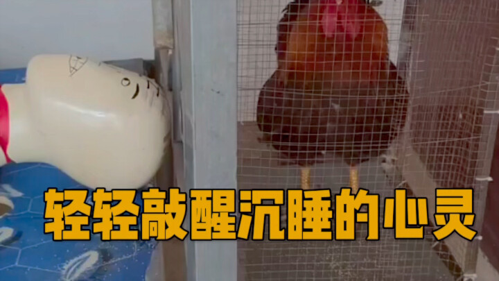 Gently break the sleeping spell, slowly open your…