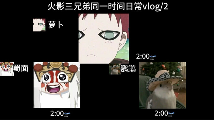Naruto’s three brothers’ daily vlog, filmed on the same day at the same time. White parrot / Invinci