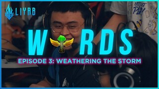 [WARDS-S2] Episode 3 - Weathering the Storm