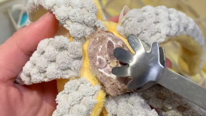 A toy that makes me feel incredibly happy every time I play with it!