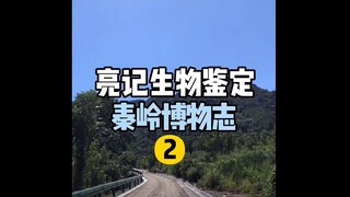 【Liangji Biological Identification】Qinling Natural History 2