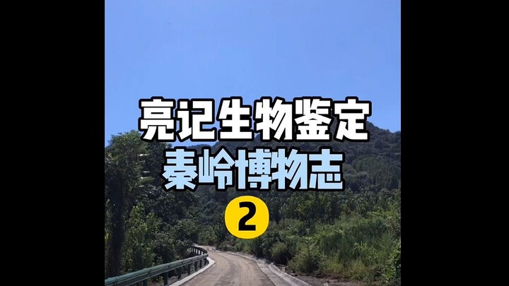 【亮记生物鉴定】秦岭博物志2