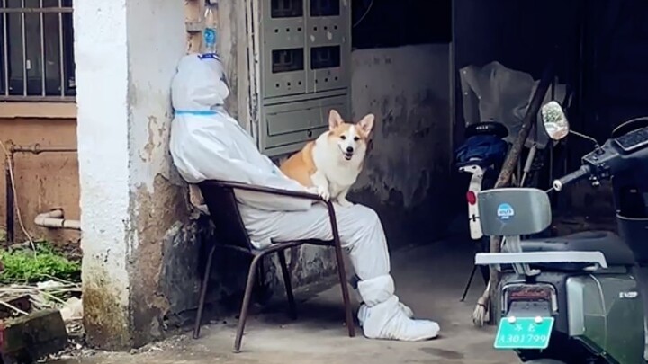 Selesai sudah, terima kasih atas perlindungan kalian selama tiga tahun.