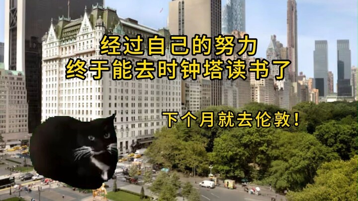 【猫meme型月】时钟塔留学，虽然我只是尘埃一粒