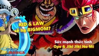 Sức mạnh Ope & Jiki Jiki No Mi thức tỉnh - KID & LAW sẽ hạ BIGMOM?