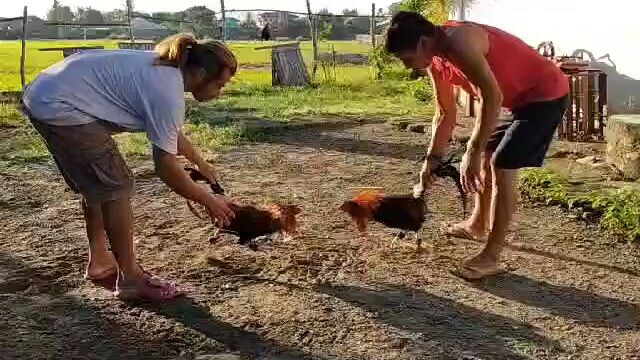 galing