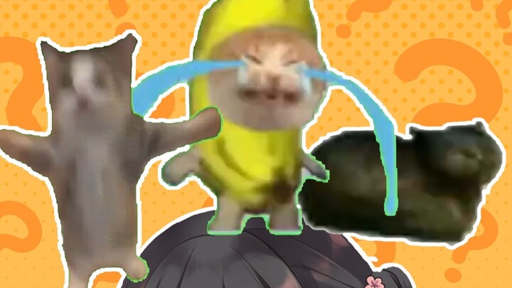 I kinda look like Banana Cat when I imitate her.