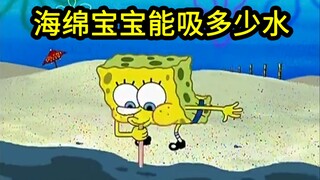 我算出了海绵宝宝到底能吸多少水？b站第一人