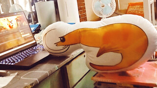 Không phải vậy, anh bạn???