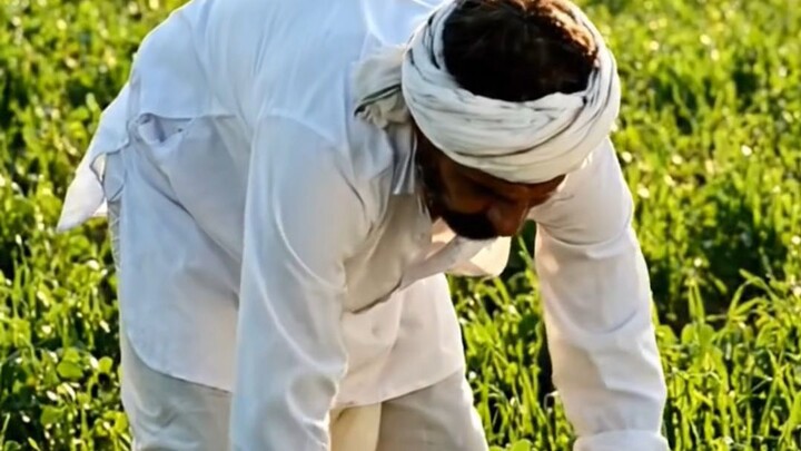 indian farming