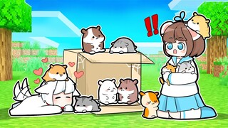 Mèo Simmy Và Bé Mưa Giải Cứu 10 Bé Chuột Hamster Bị Bỏ Rơi Trong Minecraft