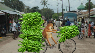 My fate is in my own hands, not in heaven's.