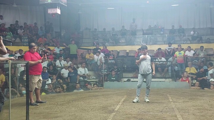 4 stag derby Cebu
