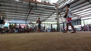 Saint Bernard So. Leyte Cockpit Arena