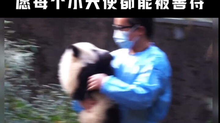Fuyuan was splashed with water by tourists and hid in the corner tower, weeping. When Dad learned ab