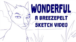 Wonderful - Breezepelt Sketch Video