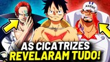 INSANO! COMO AS CICATRIZES REVELAM TUDO QUE VOCÊ PRECISA SABER SOBRE ONE PIECE!