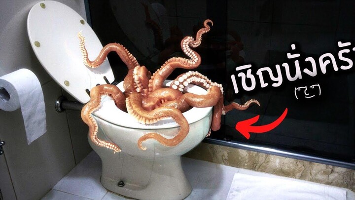 มันจะดึงท่านลงส้วม!! Toilet Chronicle