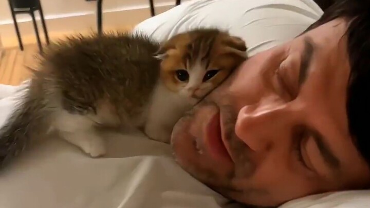 “A Miêu chỉ muốn được áp sát bạn thôi >﹏<”