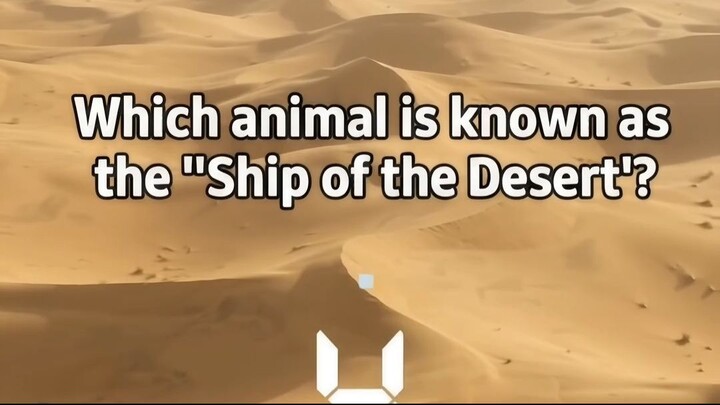 小学生都能答对？Which Animal is the Ship of the Desert? 🏜️ 趣味动物百科