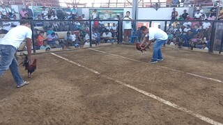 1st fight