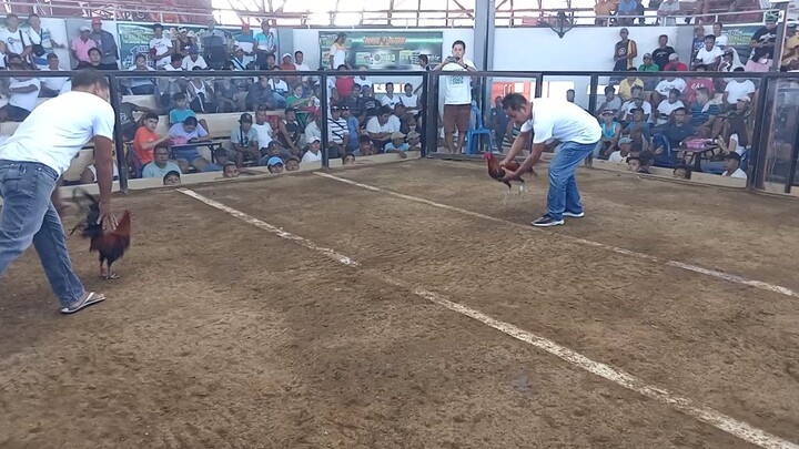 1st fight