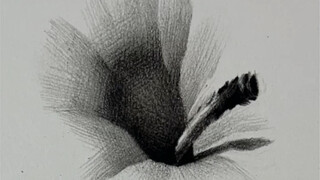 [Still Life Sketch] How to Draw an Apple凹陷