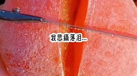 哈哈哈