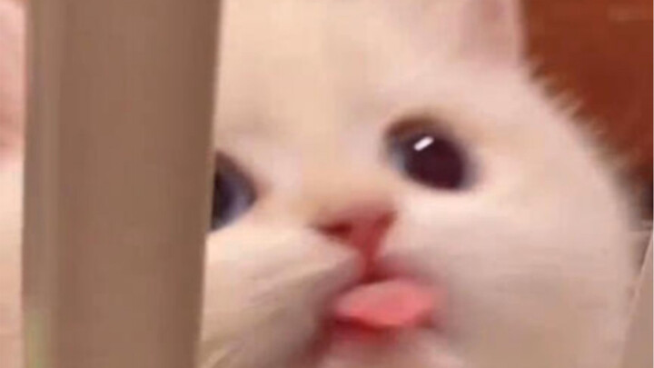 “Oh my gosh! What will become of this little thing when it grows up?”