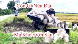 Máy Kéo Chở Một Chuyến Lúa Quá Nhiều Lên Dốc Cao Bốc Đầu l Chế Tạo RC