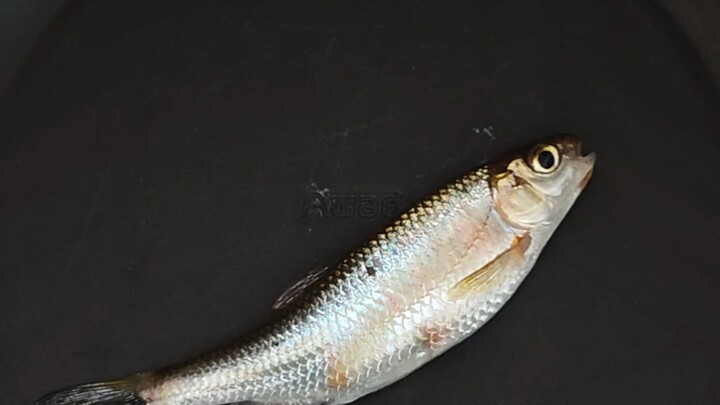 تجربة تكامل بين السكان الأصليين في تايوان والسكان الأصليين في شنشي