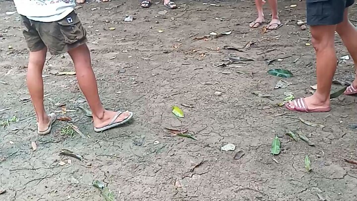 panalo na natalo pa 😅😅😅
