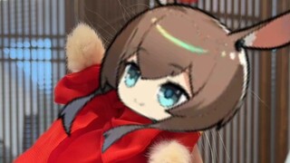 Rabbit, Rabbit, I'm right here!