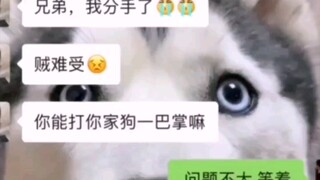 Anjing: Soal menjadi anjing, aku masih harus belajar darimu.