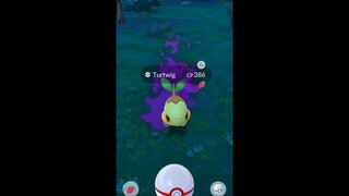 Pokémon GO-Shadow Turtwig